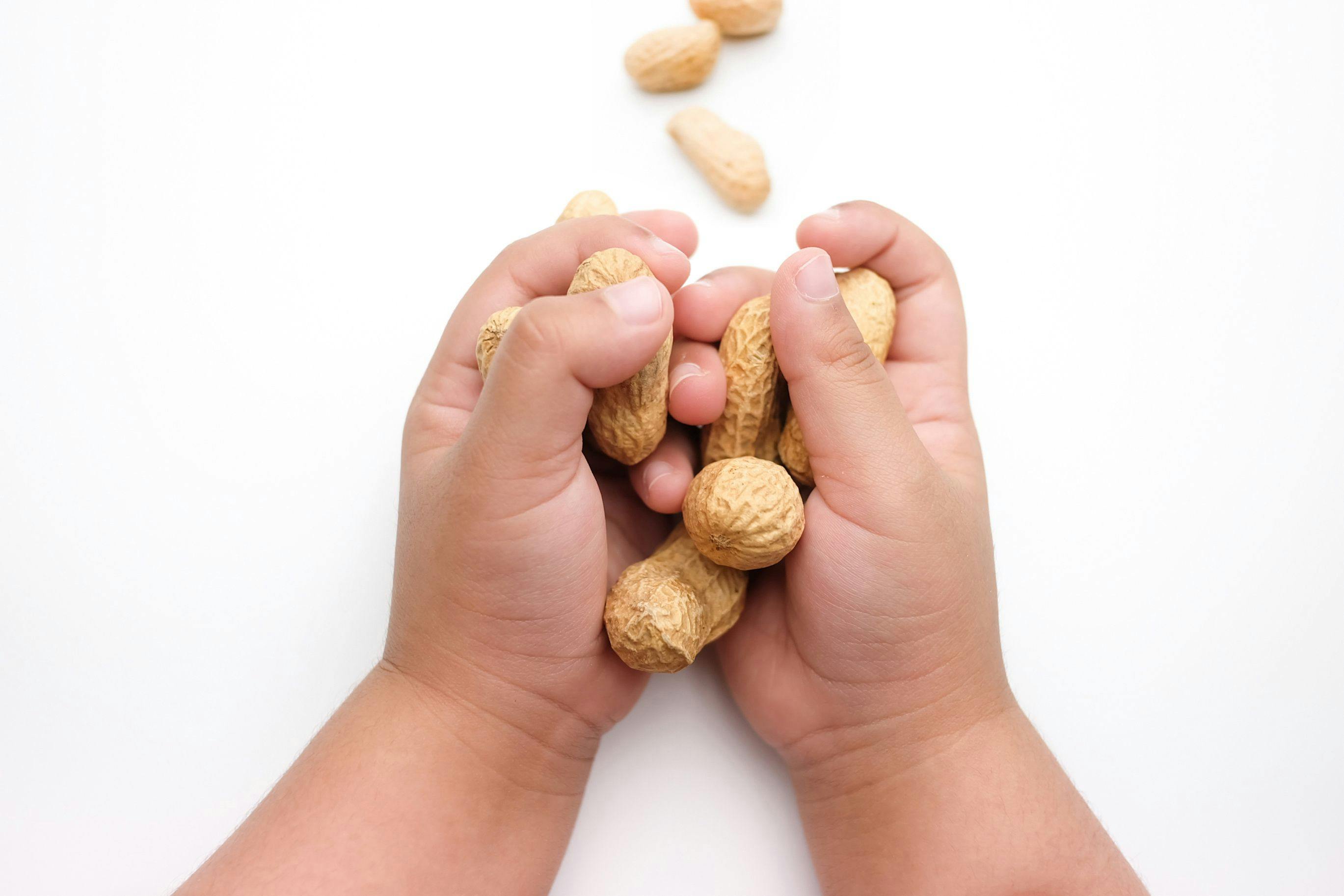 Peanut consumption through 5 years of age provides lasting tolerance into adolescence | Image Credit: © Tanawut - © Tanawut - stock.adobe.com.