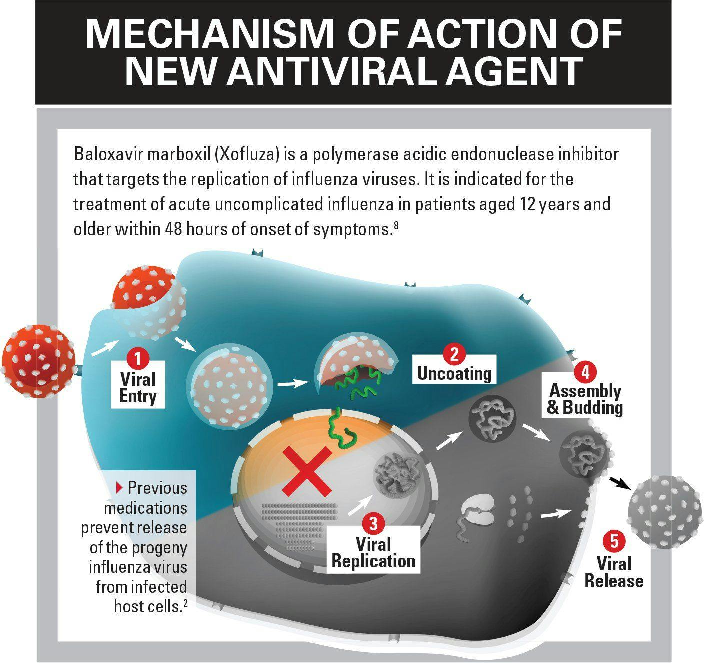 Mechanism of action of new antiviral agent