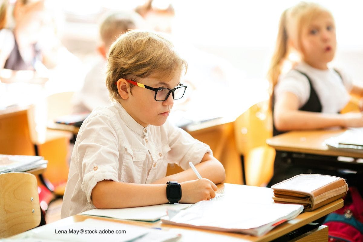 Improving academic achievement with school-based vision programs