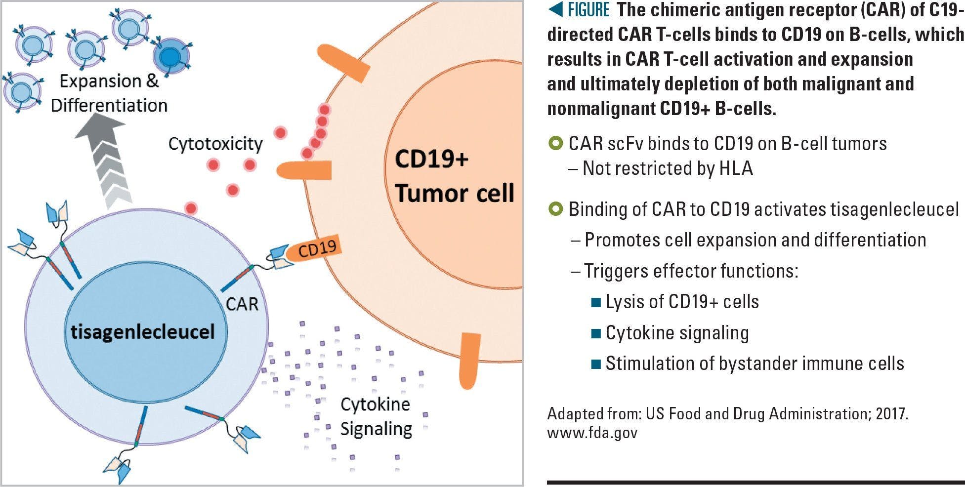 Diagram of CAR T-cell 