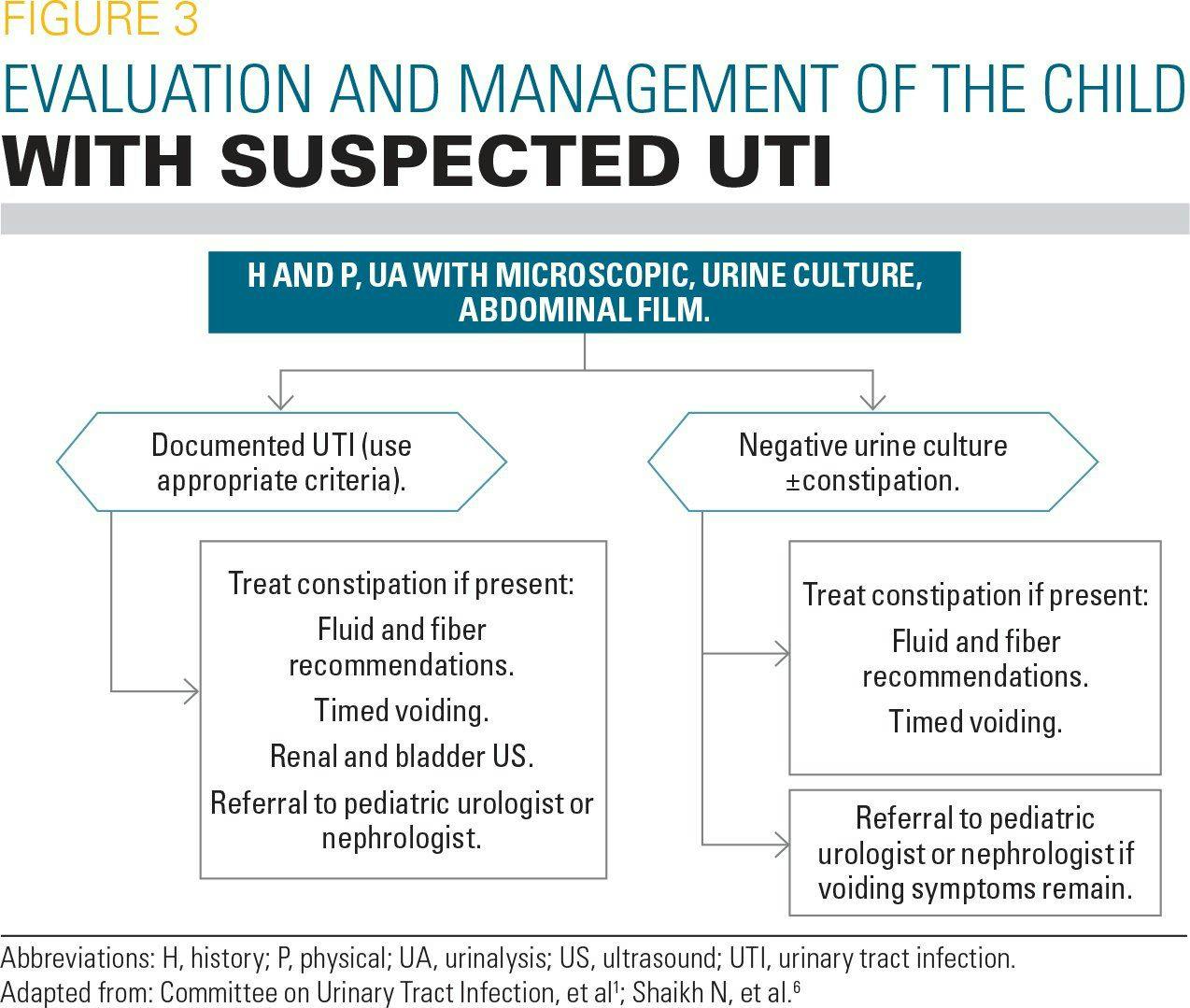 Evaluation and management of the child with suspected UTI