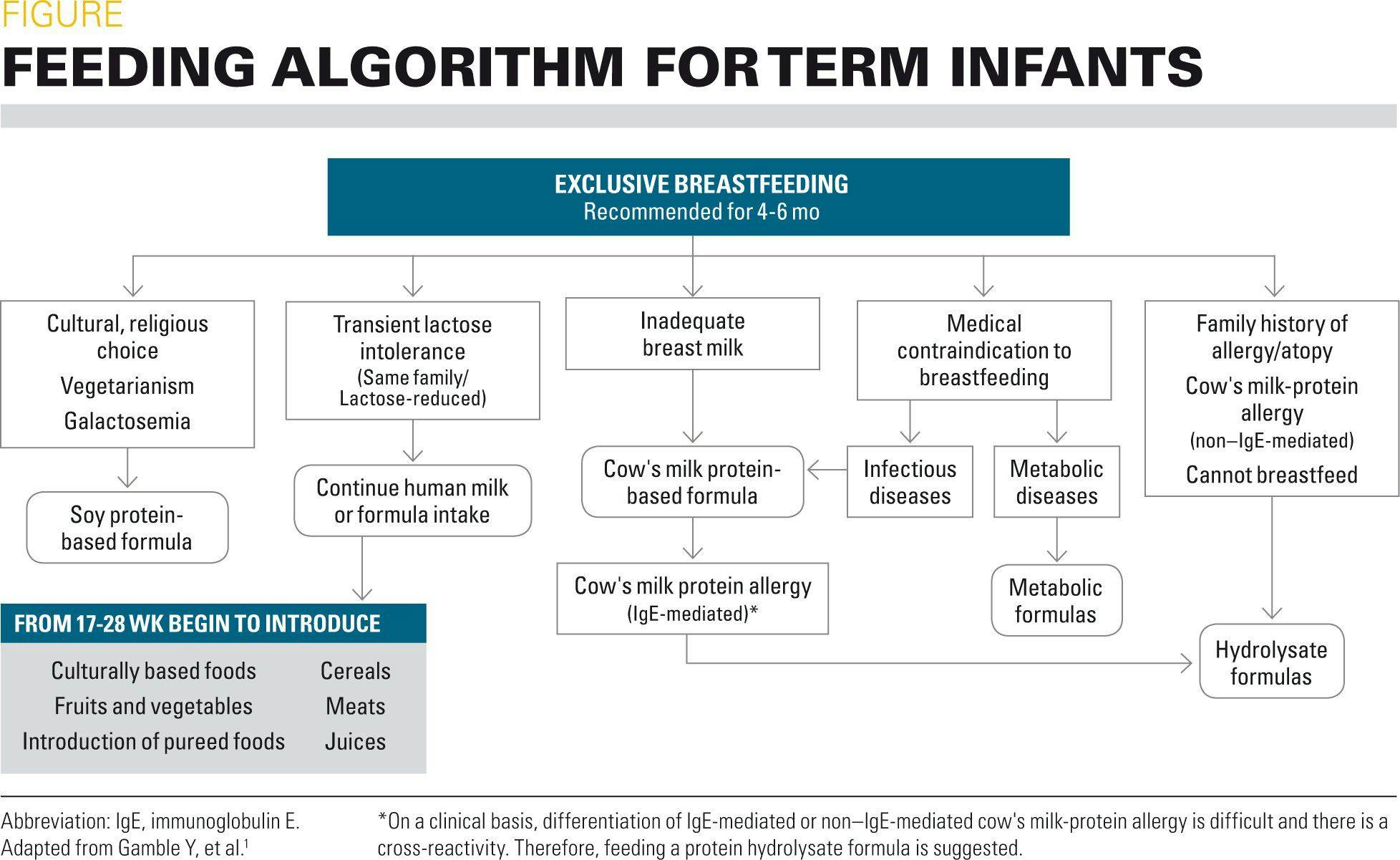 A feeding algorithm for term infants