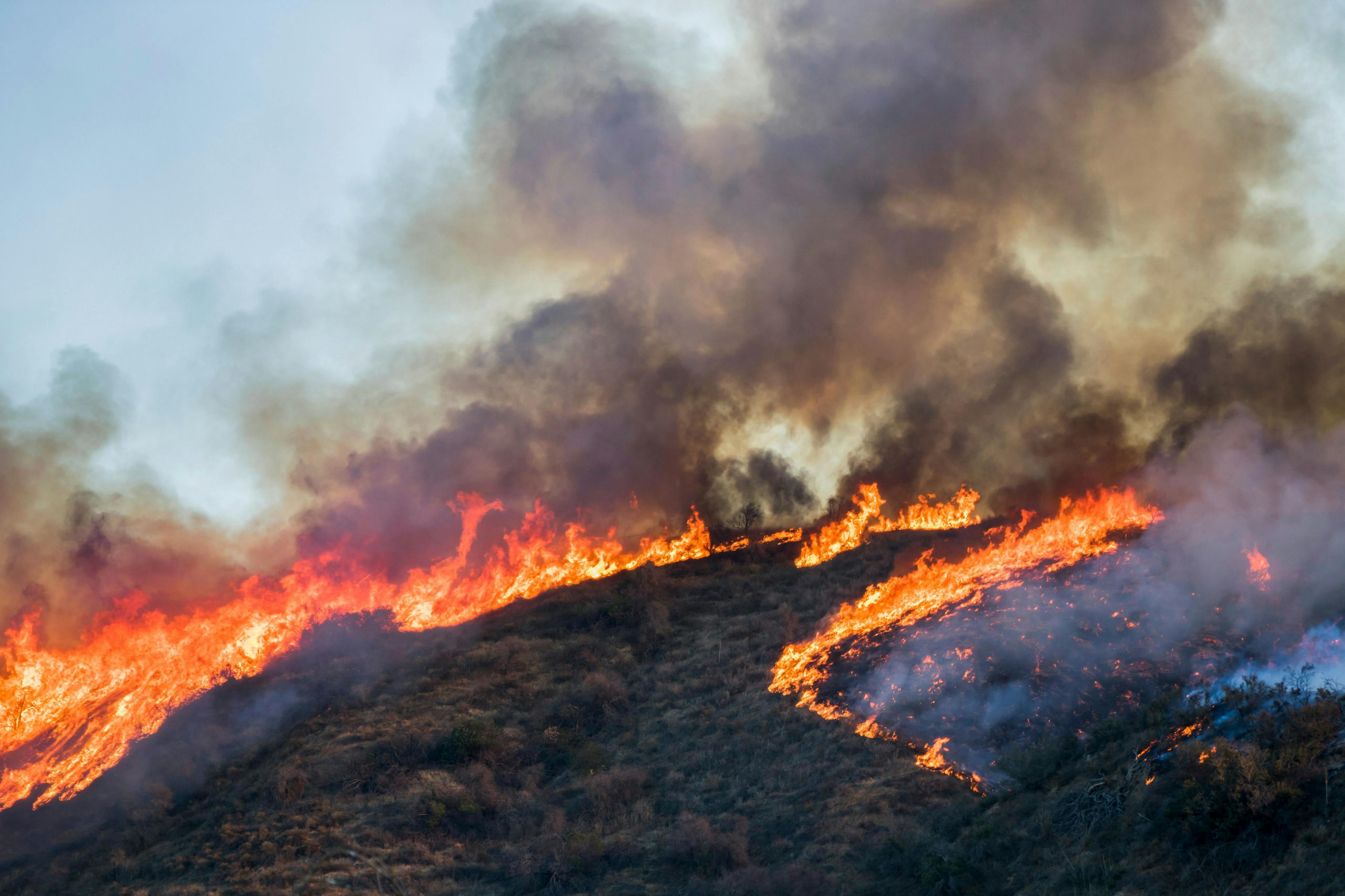 Landscape burning amid California wildfire | Image Credit: © Erin - © Erin - stock.adobe.com.