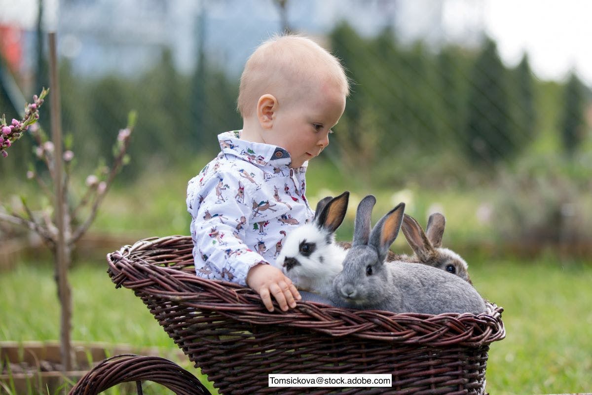 child with bunnies