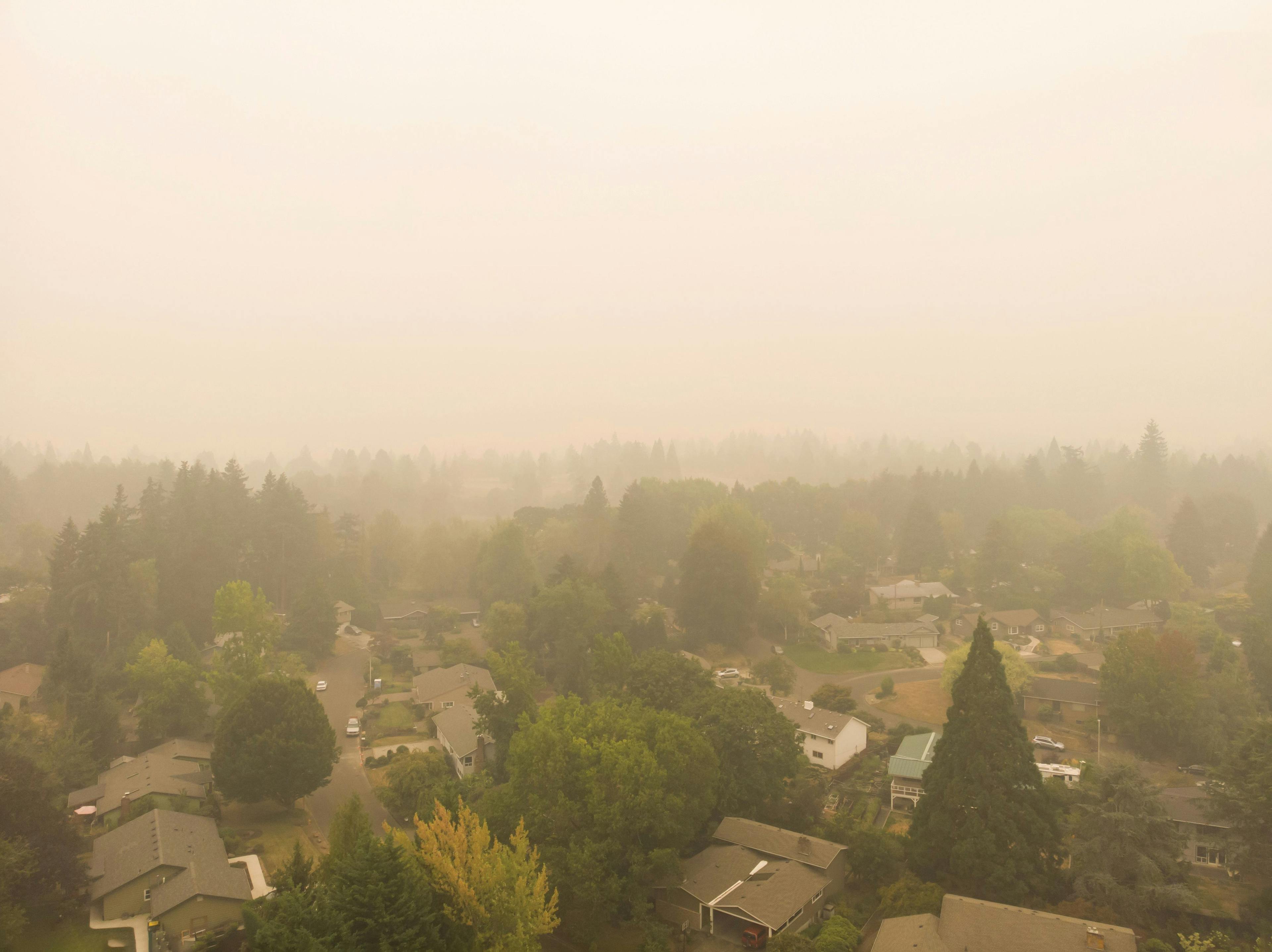 Wildfire smoke raises respiratory concerns across Northeastern US | Image Credit: © Anton - © Anton - stock.adobe.com.
