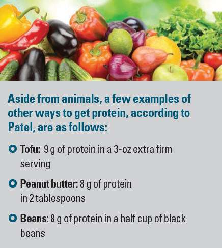 Plant-based proteins