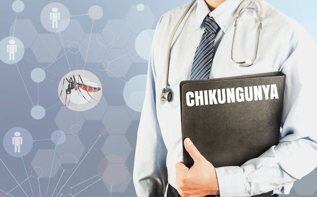 Chikungunya vaccine effective in adolescents after phase 3 trial | Image Credit: © farland9 - © farland9 - stock.adobe.com.