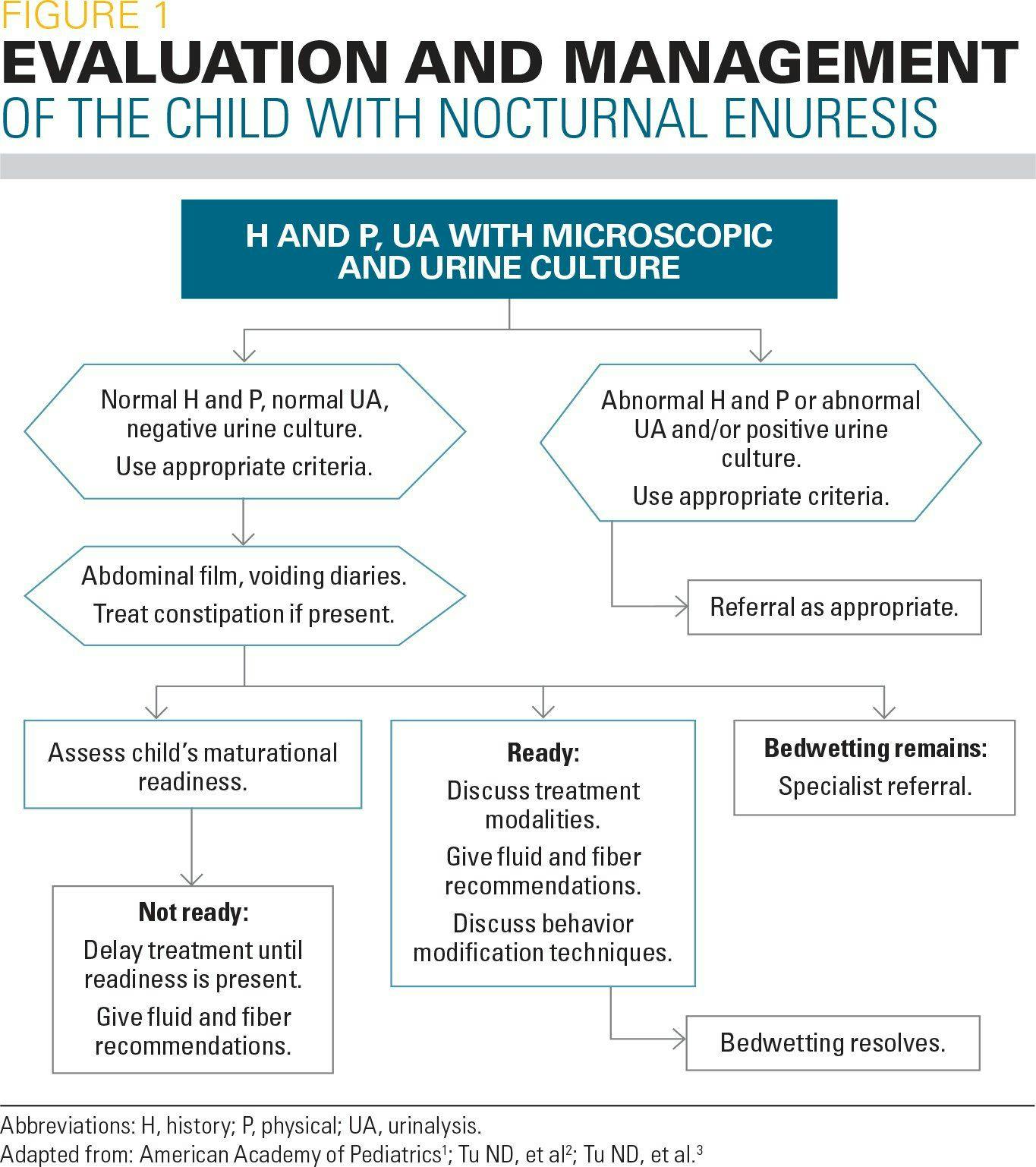Evaluation and management of the child with nocturnal enuresis