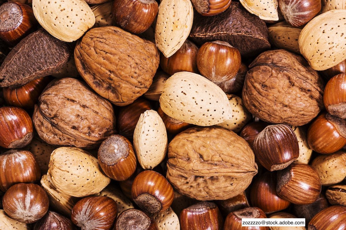 Looking at risk factors for tree nut sensitization