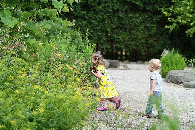 Exploring the Children's Garden Nature Trail can offer opportunities to observe nature in many kinds of setting.