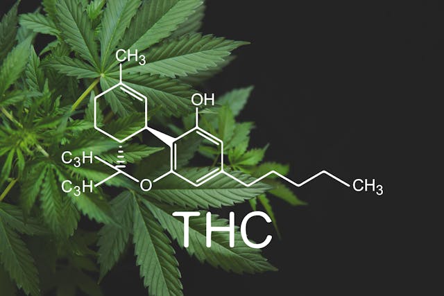 Toxicity related to THC dose in pediatric edible cannabis ingestions | Image Credit: © cendeced - © cendeced - stock.adobe.com.
