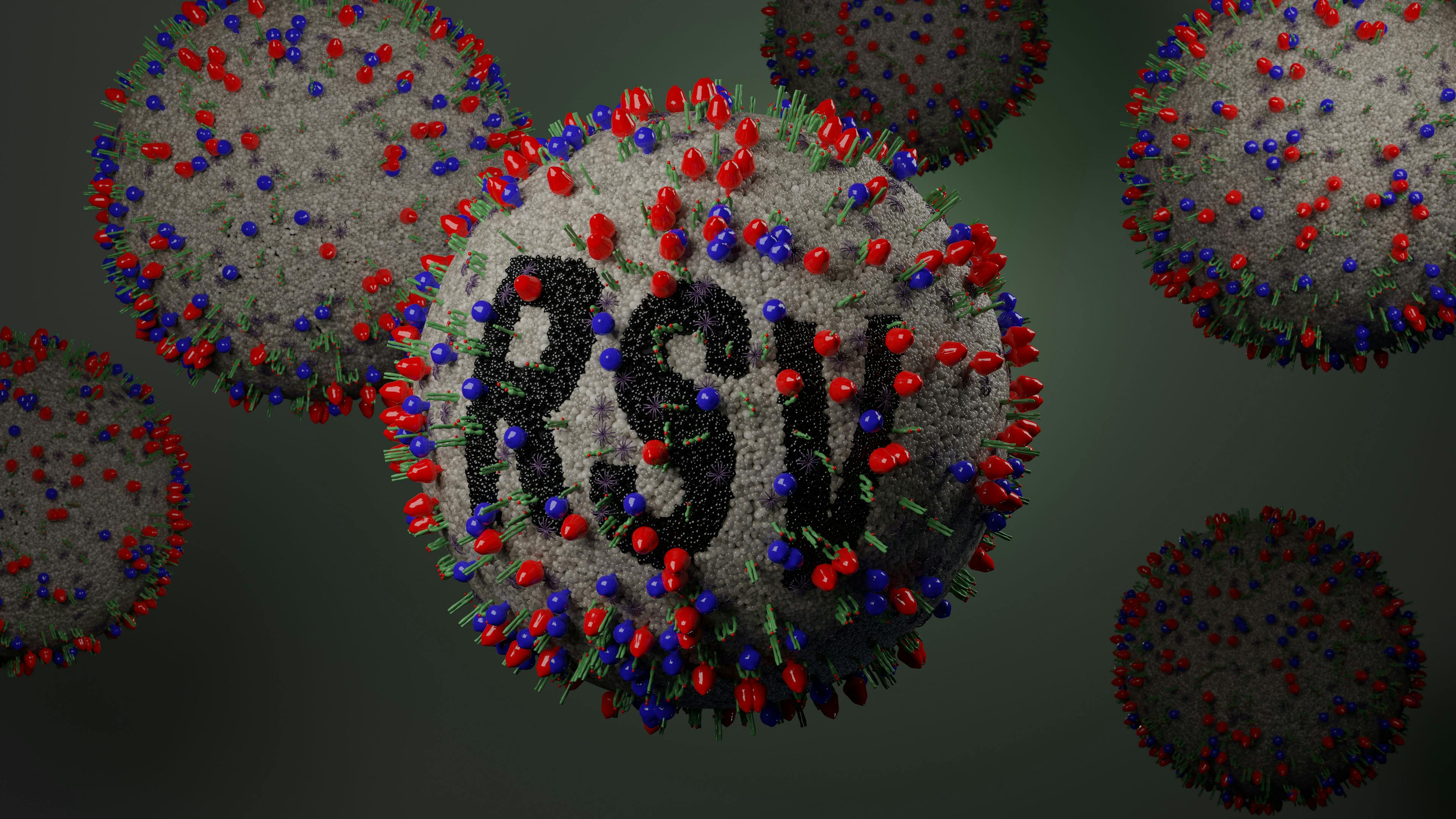 Illustration of respiratory syncytial virus ©Stock Peter Hansen-stock.adobe.com