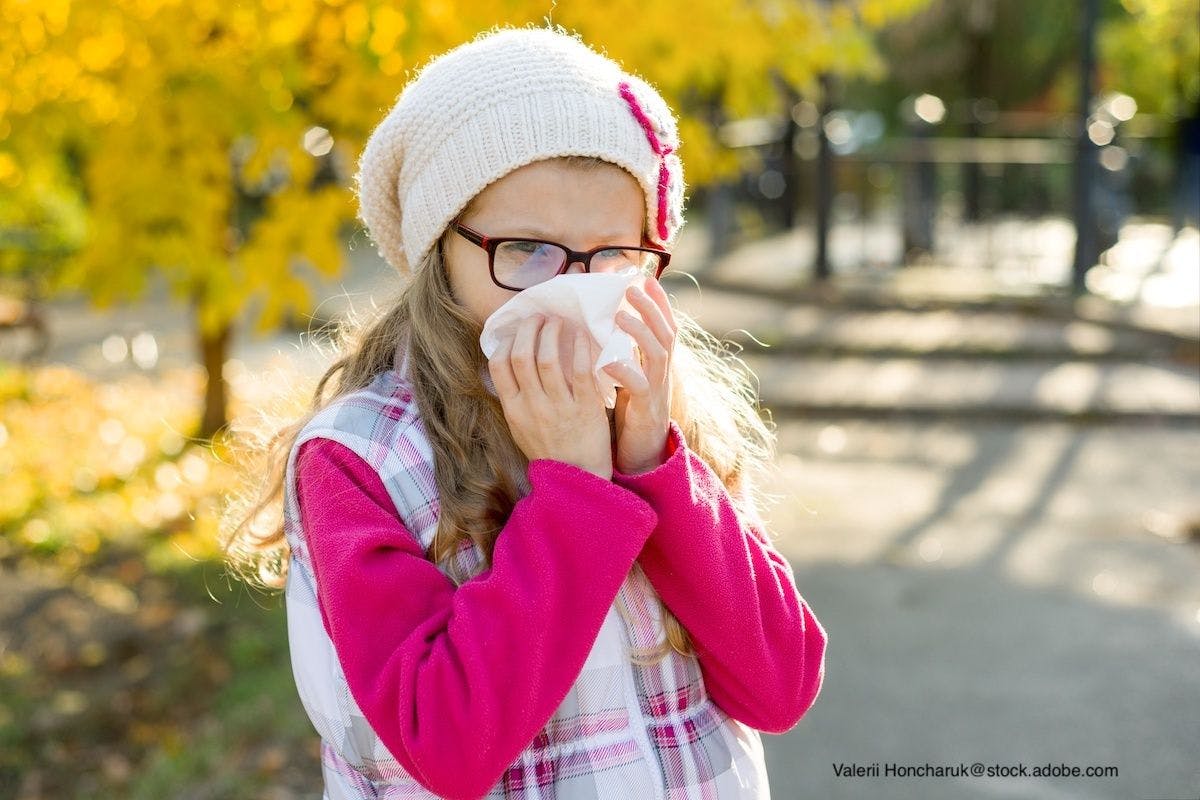  Best remedies for fall seasonal respiratory allergies