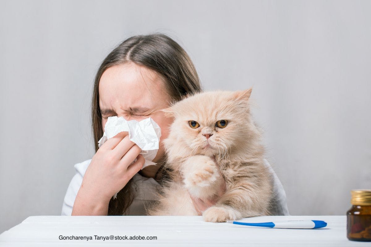 The impact of cat allergens on cat owners