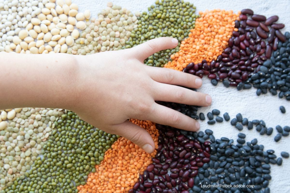 Plant-based protein diets for children