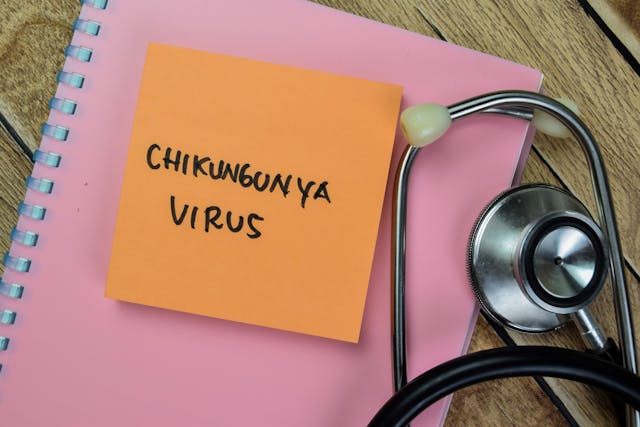 World’s first chikungunya vaccine FDA approved for individuals 18 years and up | Image Credit: © syahrir - © syahrir - stock.adobe.com.