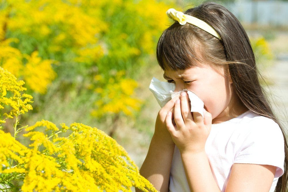 12 more tips about allergies and oddities