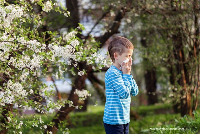 Seasonal allergies: What every pediatrician needs to know