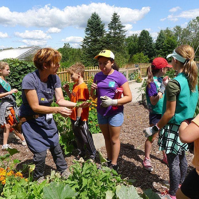 In the Grower's Garden, children play by watering, mulching, raking, composting, and tasting the foods from the garden plots