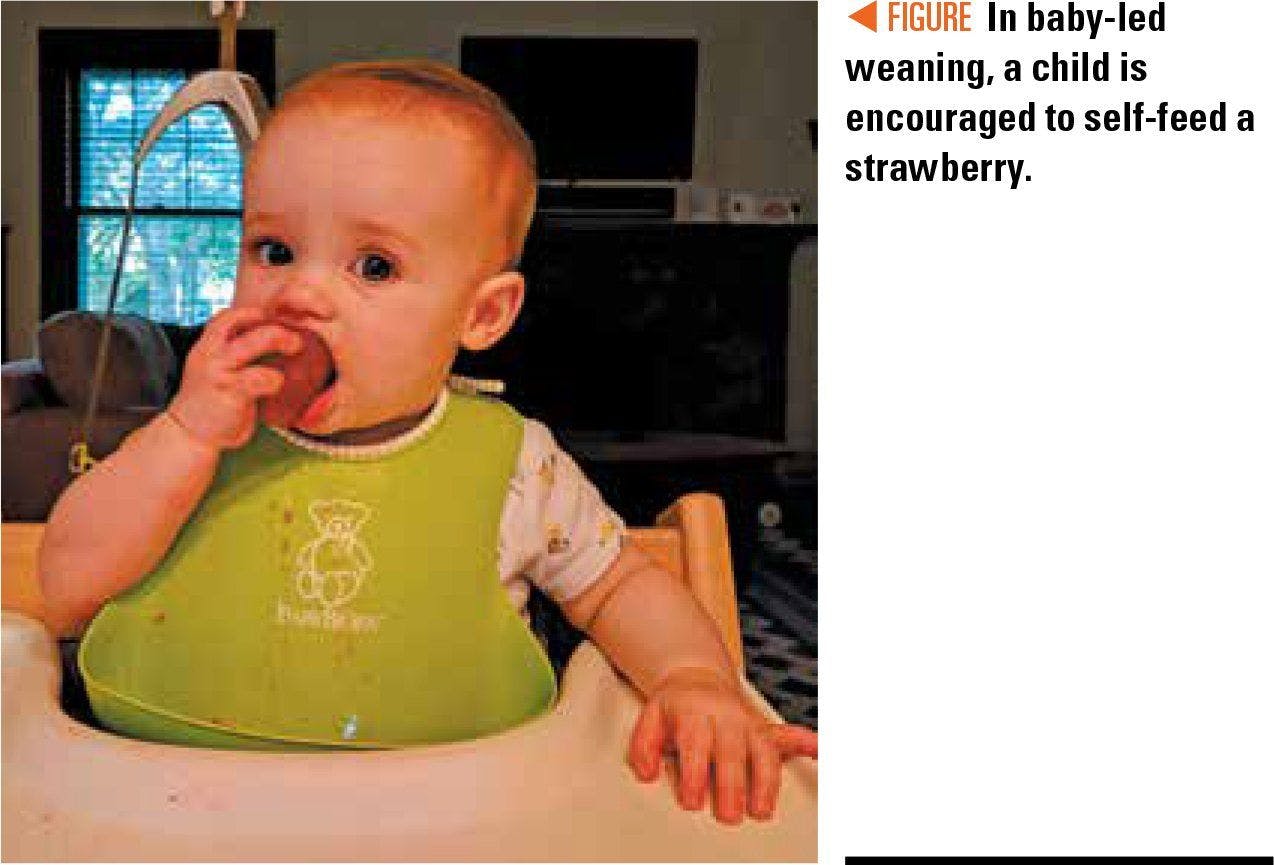 image of baby eating a strawberry