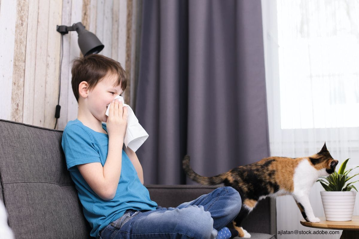 How families can mitigate a child's pet allergies