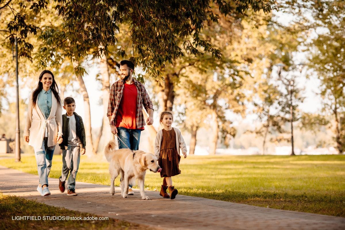 family walking a dog