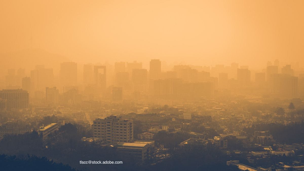 Is there a link between air pollution and atopic dermatitis?