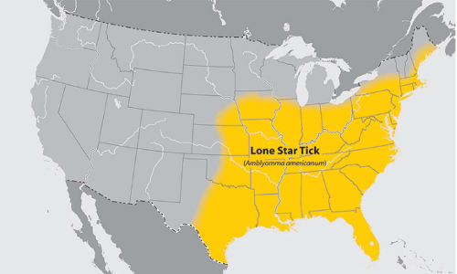 Figure 3. Geographic Range of the Lone Star Tick6
