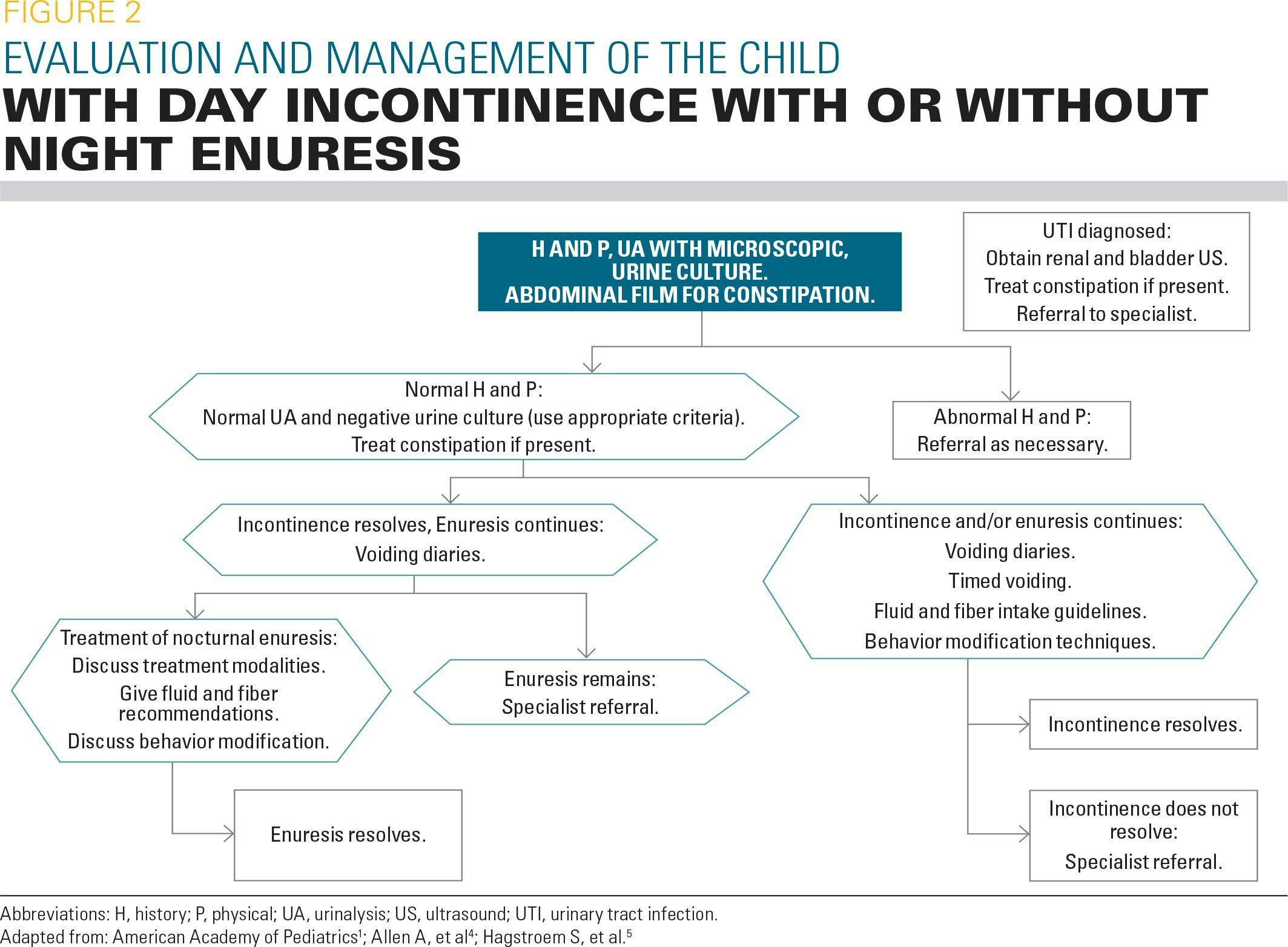 Evaluation and management of the child with day incontinence with or without night enuresis
