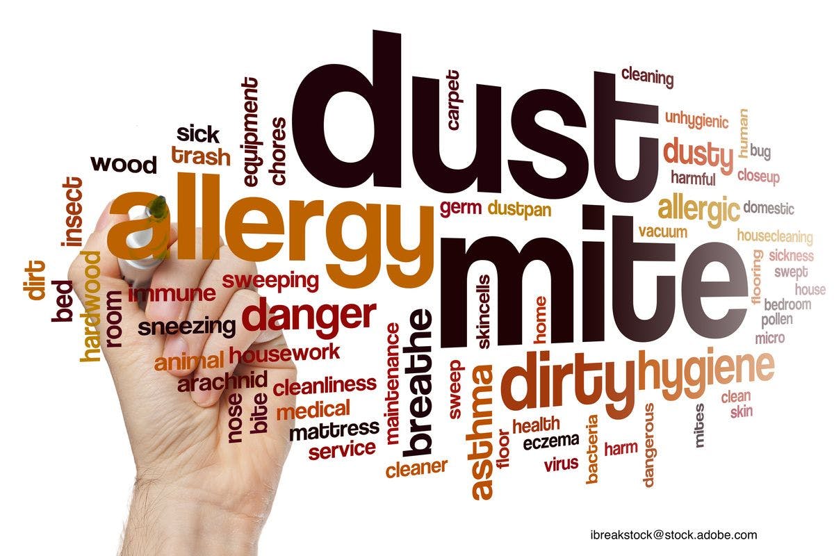 dust mite word cloud